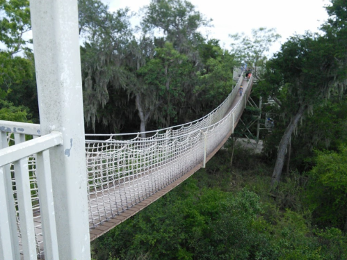 A long suspension bridge stretches over lush greenery, connecting two platforms in a forested area.