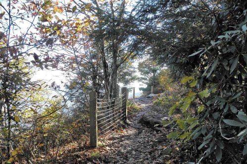A narrow path through trees and foliage, leading to a scenic view, with a wooden fence on one side.
