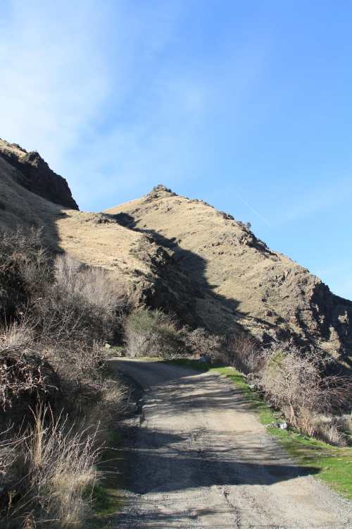 A winding dirt road leads up a grassy hillside under a clear blue sky, with rocky terrain and sparse vegetation.