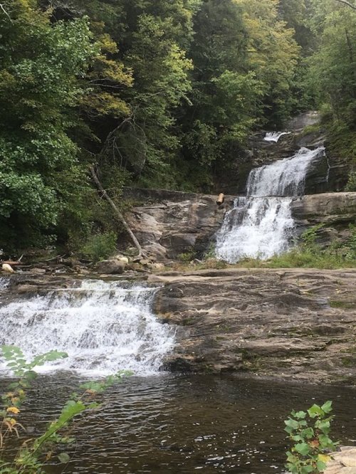 A serene waterfall cascades over rocky ledges, surrounded by lush green trees and a calm pool below.