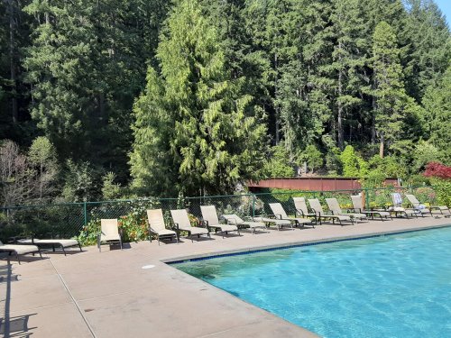 A serene pool area surrounded by tall trees, with lounge chairs lined up along the edge of the water.
