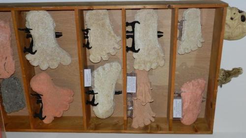 A display of various textured foot-shaped sculptures mounted on a wooden board.