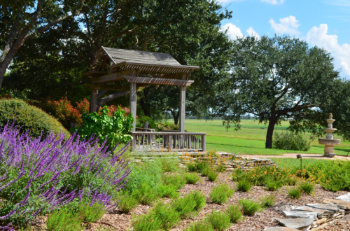 A serene garden scene featuring a wooden gazebo, vibrant purple flowers, and lush greenery under a blue sky.