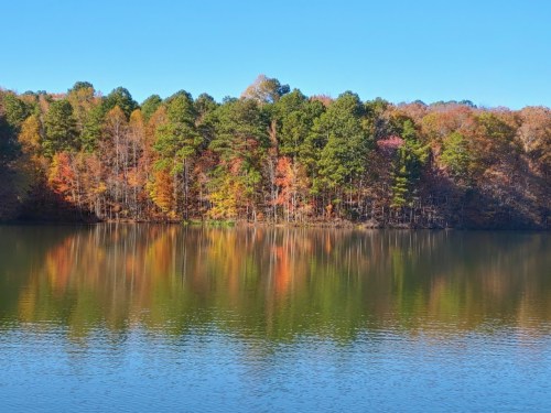 A serene lake reflecting colorful autumn trees under a clear blue sky.