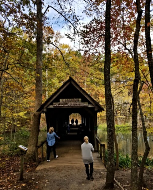 A wooden bridge leads into a forest with autumn foliage, with people walking towards a covered structure.