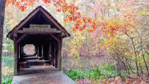 A wooden covered bridge surrounded by vibrant autumn foliage and a serene pond.
