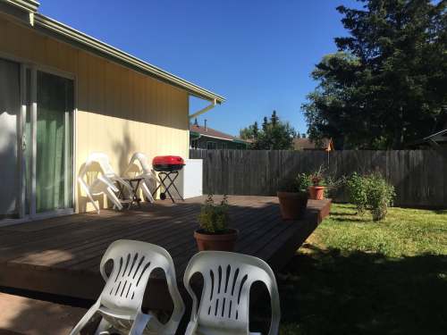 A sunny backyard with a wooden deck, potted plants, and a red grill, surrounded by a wooden fence and green grass.