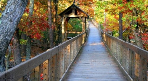 A wooden walkway through a vibrant forest with autumn foliage and a small shelter at the end.