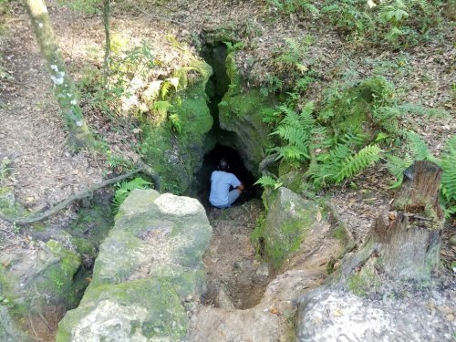 A person crouches near the entrance of a moss-covered cave in a wooded area surrounded by ferns.