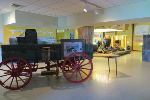 A vintage wagon with red wheels in a museum, showcasing a natural history exhibit in the background.