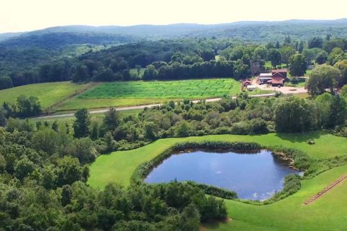 Aerial view of a lush landscape featuring a pond, fields, and a distant house surrounded by greenery and hills.