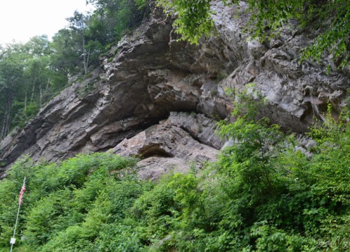 Rocky cliffside covered in greenery, with trees and shrubs at the base, and a hint of an American flag in the foreground.