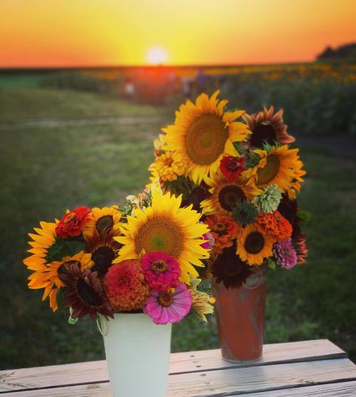 Two vibrant bouquets of sunflowers and mixed flowers sit on a wooden table, with a sunset glowing in the background.