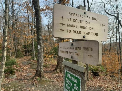 Wooden trail signs in a forest, indicating directions to Appalachian Trail, VT Route 100, and Deer Leap Trail.