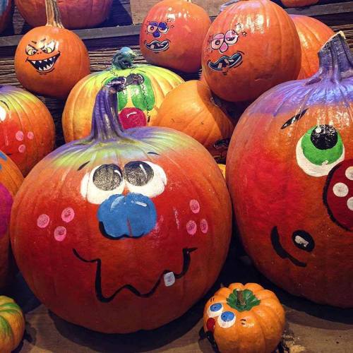 Colorful pumpkins with playful faces painted on them, arranged in a festive display.