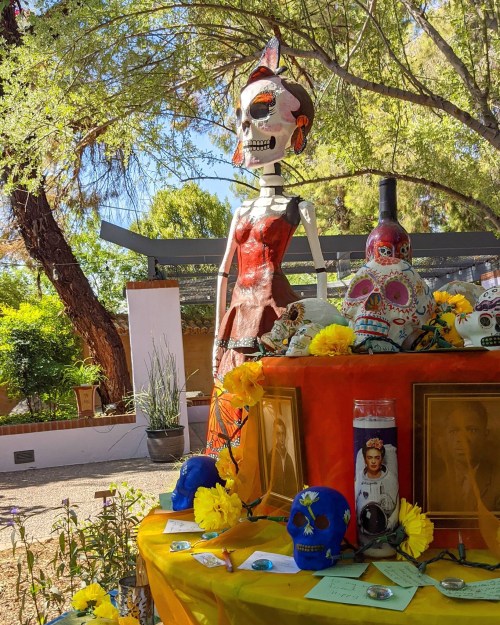 A colorful Día de los Muertos altar featuring a skeleton figure, decorated skulls, flowers, and framed photos in a garden.