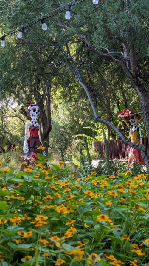 Two colorful skeleton figures stand among vibrant yellow flowers in a lush garden setting.