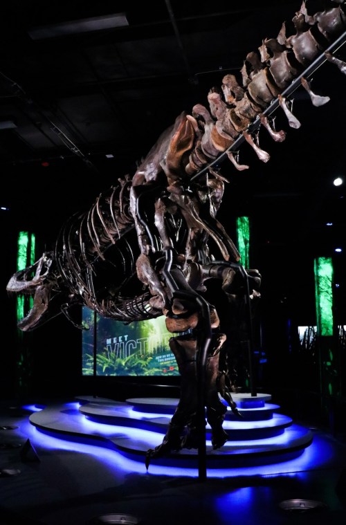 A large dinosaur skeleton displayed in a museum, with green lights and a digital screen in the background.