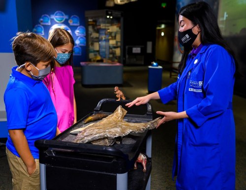 A museum educator shows children a fossil on a cart, with exhibits visible in the background. All are wearing masks.