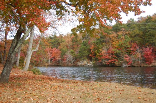 A serene lake surrounded by trees with vibrant autumn foliage in shades of red and orange.