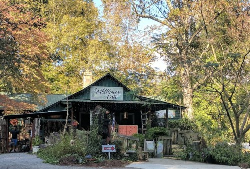 A cozy café named Wildflower Café surrounded by trees and autumn foliage, with a gravel path leading to the entrance.