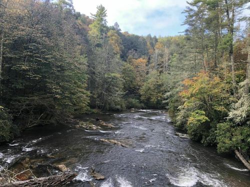 A serene river flows through a forest with autumn foliage, surrounded by trees and rocky banks.