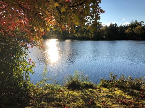 A serene lake reflecting sunlight, surrounded by colorful autumn foliage and lush greenery.