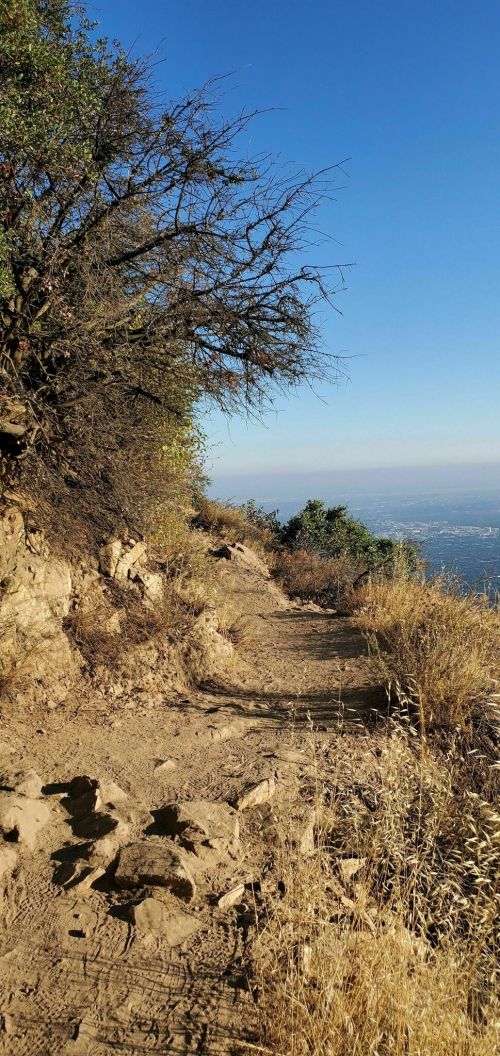 A dirt path winds through dry grass and sparse trees, overlooking a distant city under a clear blue sky.