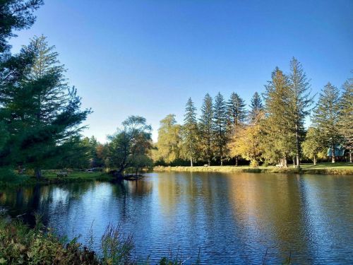 A serene lake surrounded by trees, reflecting the clear blue sky and autumn foliage.