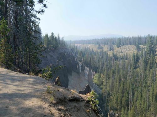 A scenic view of a forested canyon with rocky formations and a hazy sky in the background.