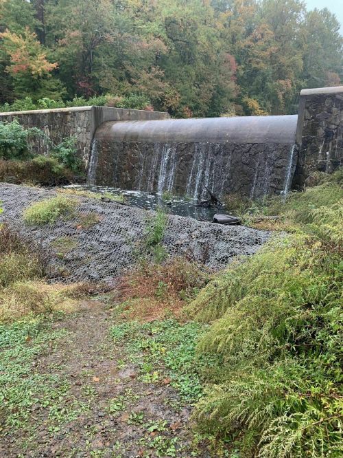 A stone dam with water cascading over it, surrounded by lush greenery and autumn-colored trees in the background.