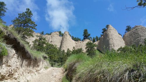 A rocky trail leads up to towering cliffs, surrounded by green grass and pine trees under a blue sky.