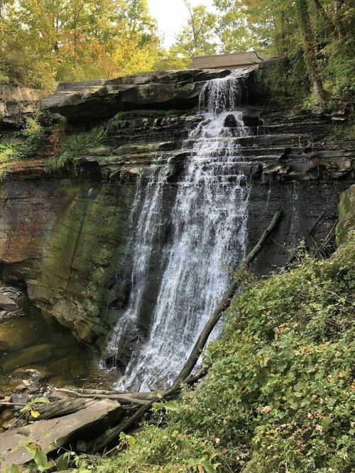 A serene waterfall cascading over rocky cliffs, surrounded by lush greenery and autumn-colored trees.