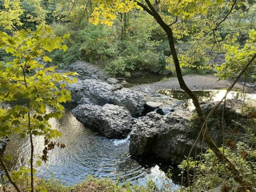 A serene natural scene featuring rocky formations by a calm water body, surrounded by lush green trees.