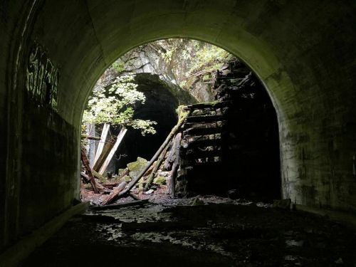 A dark tunnel entrance reveals overgrown stairs and moss-covered debris, with light filtering in from outside.