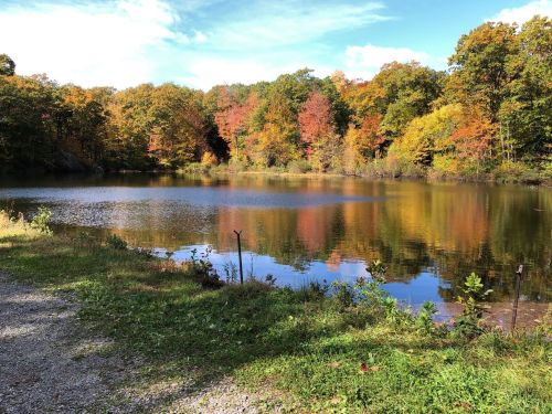 A serene lake surrounded by vibrant autumn foliage reflecting in the water under a clear blue sky.