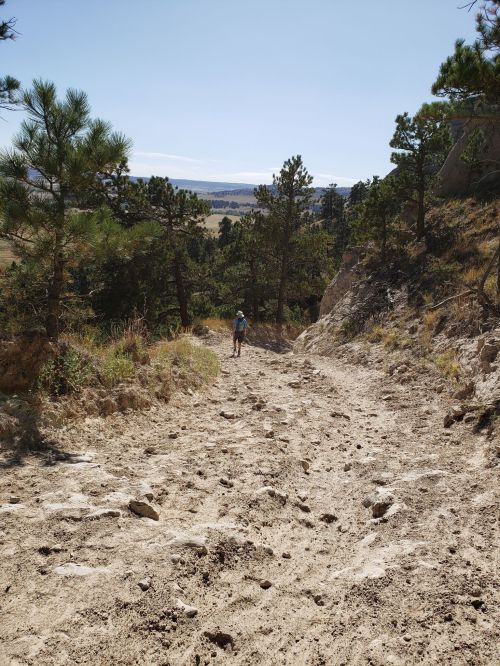A person walks down a rocky trail surrounded by trees, with a clear sky and distant hills in the background.