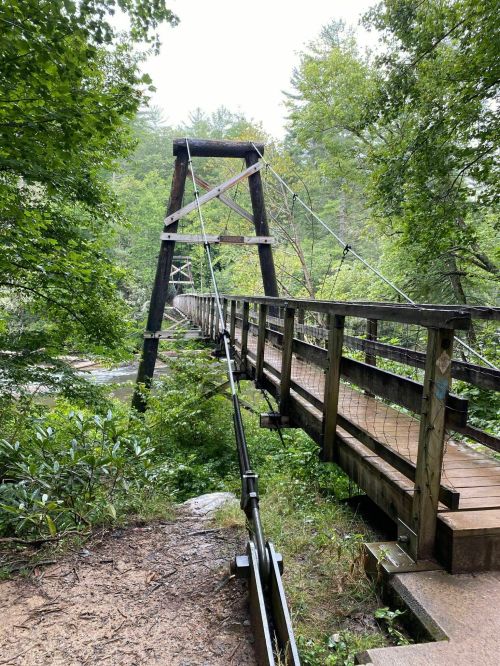A wooden suspension bridge surrounded by lush greenery and trees, leading into a misty forest.