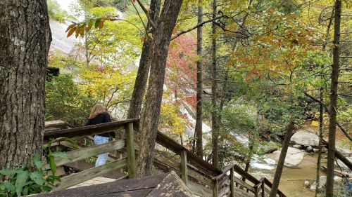 A person walks down wooden steps surrounded by trees and colorful autumn foliage near a flowing stream.