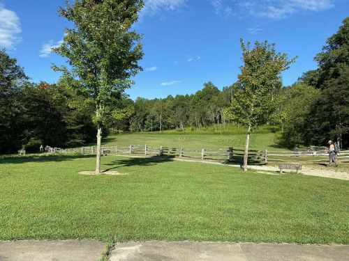 A grassy field with two trees, a wooden fence, and a clear blue sky in the background. People are walking in the distance.