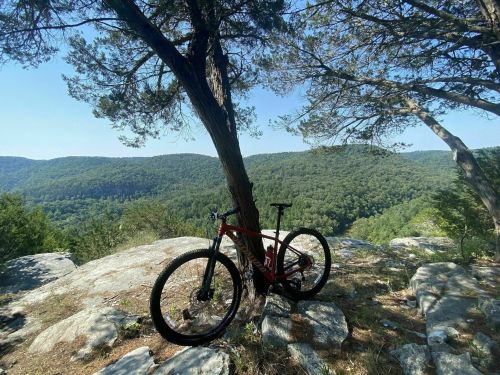 A red mountain bike leans against a tree on a rocky outcrop, overlooking a lush green forested landscape.