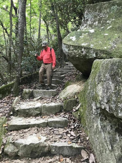 A person in a red shirt walks down stone steps in a wooded area, surrounded by greenery and large rocks.