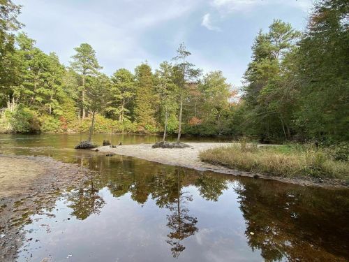 A serene river scene with trees reflecting in the water, surrounded by lush greenery and sandy banks.