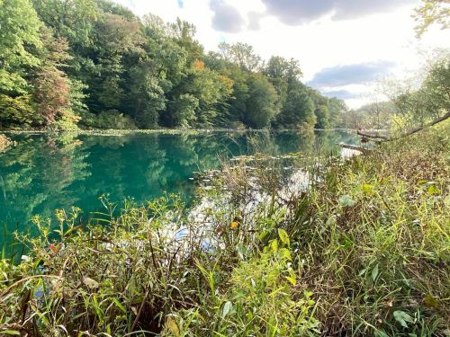 A serene river scene surrounded by lush greenery and trees, reflecting the sky and colorful foliage.