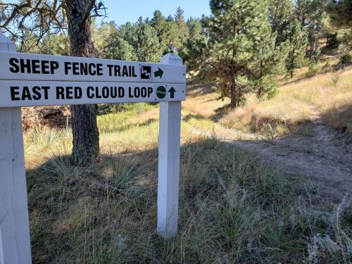 Signpost indicating the Sheep Fence Trail and East Red Cloud Loop in a grassy, wooded area.