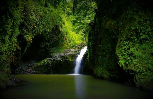 A serene waterfall cascades into a tranquil pool, surrounded by lush green foliage and rocky cliffs.