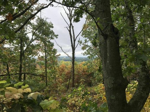 A scenic view through trees, showcasing a colorful landscape of autumn foliage under a cloudy sky.