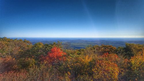 A panoramic view of colorful autumn foliage against a clear blue sky and distant mountains.