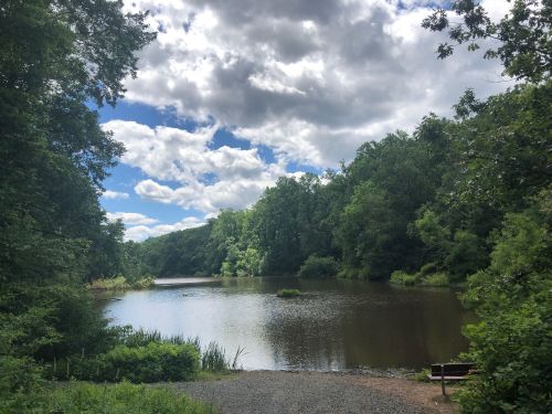 A serene river scene surrounded by lush green trees under a partly cloudy sky.