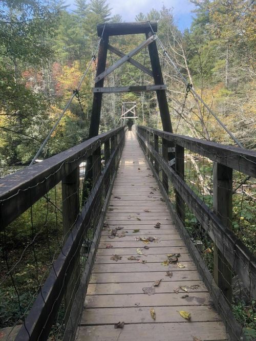 A wooden suspension bridge surrounded by trees, with fallen leaves on the walkway and a clear blue sky above.